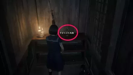 干からびた死骸の実際の入手画像