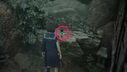 古い櫛の実際の入手画像