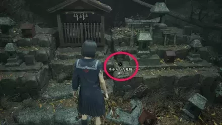 干からびた死骸の実際の入手画像