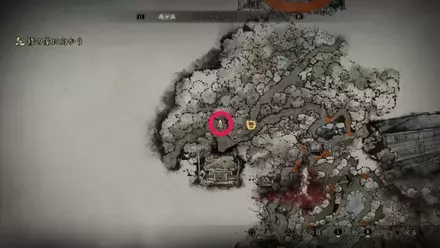 干からびた死骸の入手場所画像