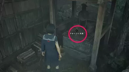 干からびた死骸の実際の入手画像