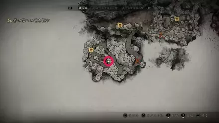 干からびた死骸の入手場所画像