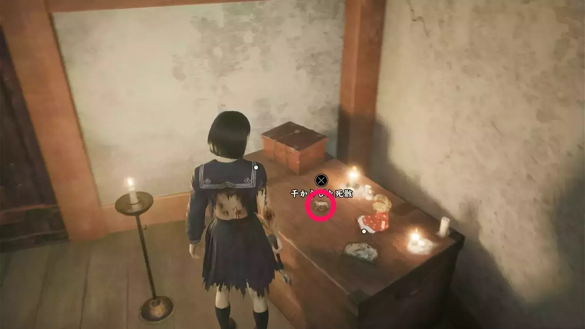 干からびた死骸の実際の入手画像