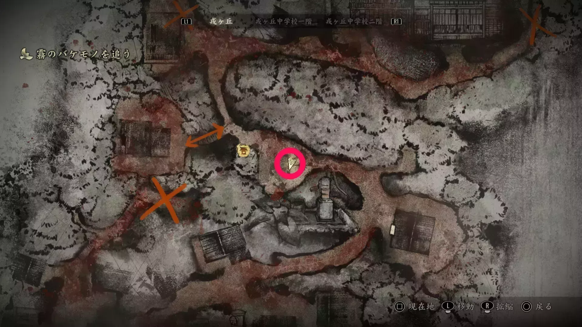 干からびた死骸の入手場所画像