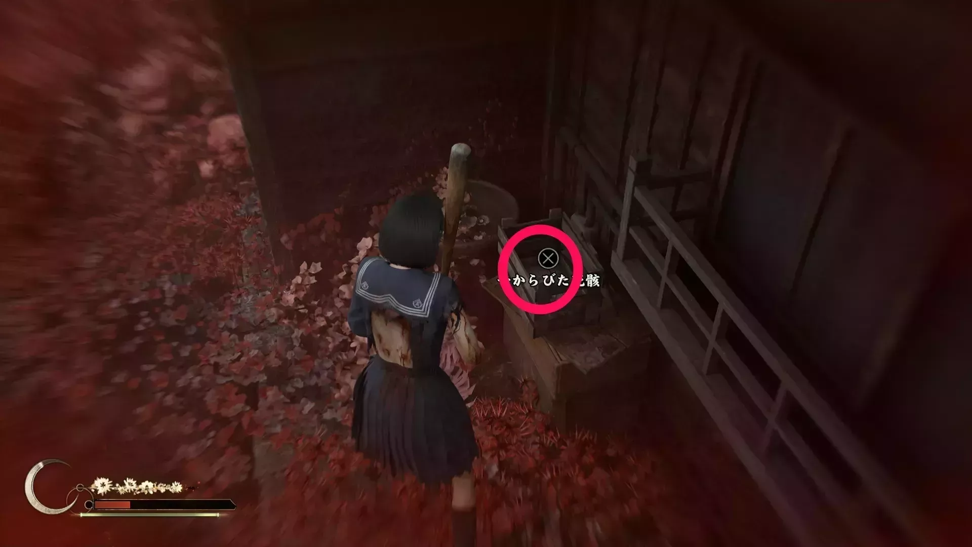 干からびた死骸の実際の入手画像