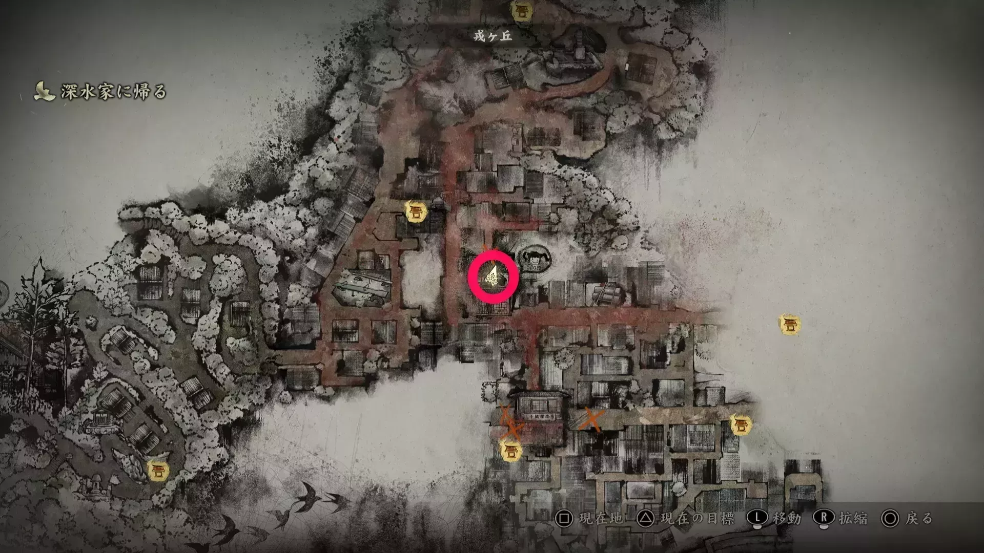 干からびた死骸の入手場所画像