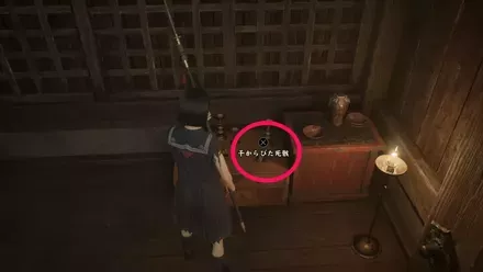 干からびた死骸の実際の入手画像