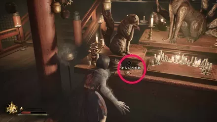 干からびた死骸の実際の入手画像