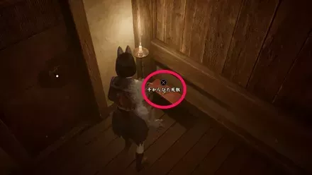 干からびた死骸の実際の入手画像