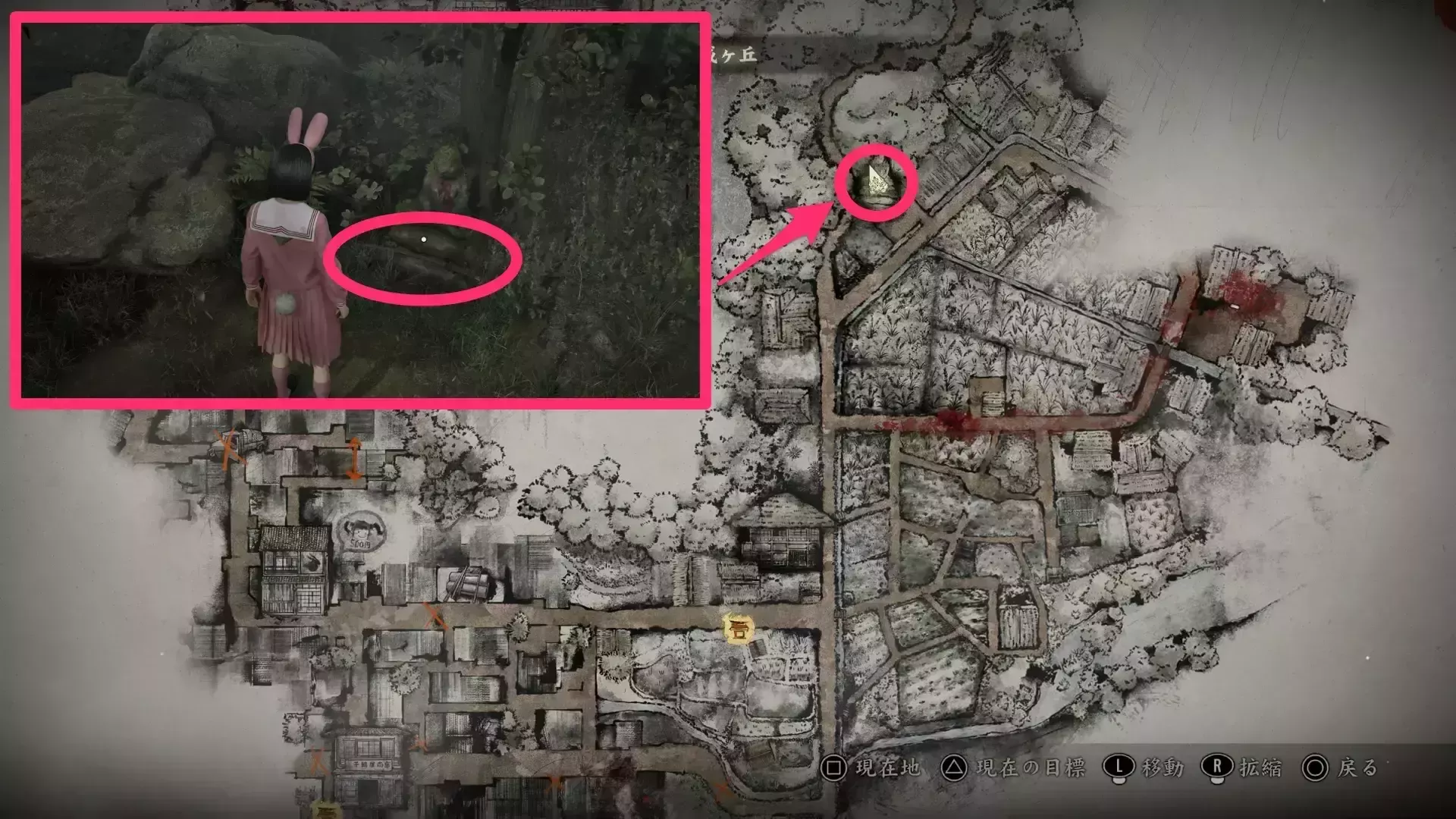 3周目からは戎ヶ丘2回目で入手できる