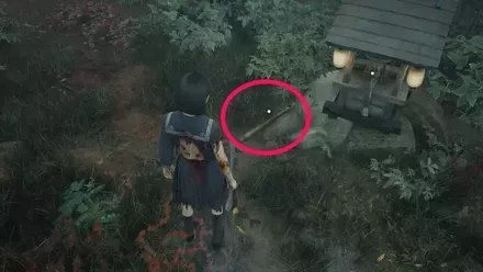 バットの実際の入手画像