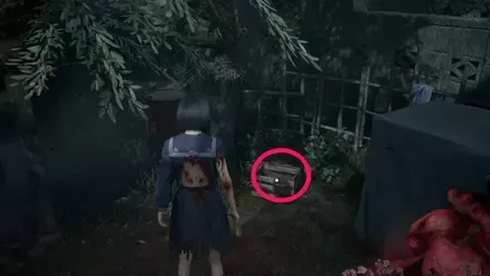 干からびた死骸の実際の入手画像