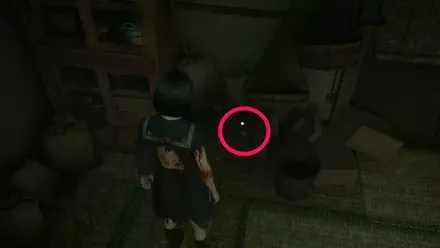 干からびた死骸の実際の入手画像