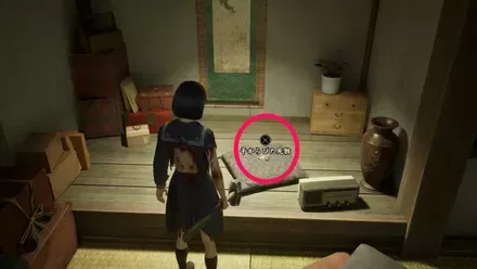 干からびた死骸の実際の入手画像