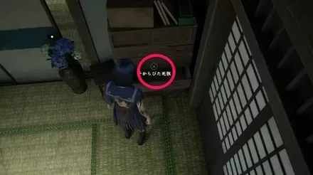 干からびた死骸の実際の入手画像