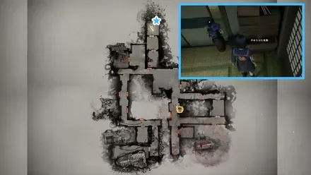 干からびた死骸