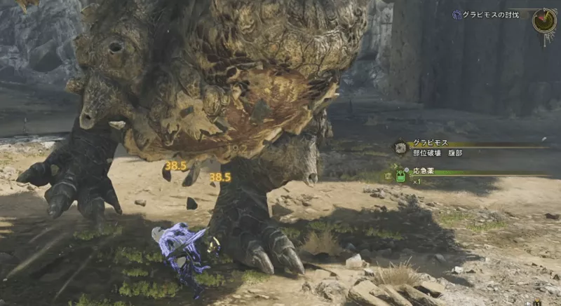 腹部の部位破壊