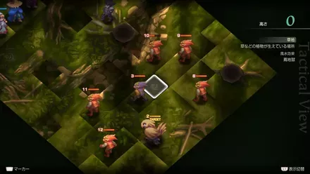 アラグアイの森の埋もれたアイテム size:440x0