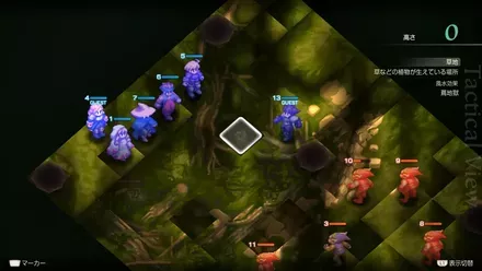 アラグアイの森の埋もれたアイテム size:440x0