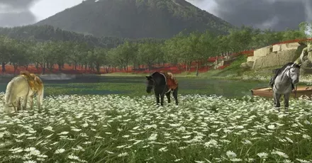 馬の種類と名前変更方法