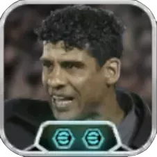 フランクライカールト(リンクアップ)の画像