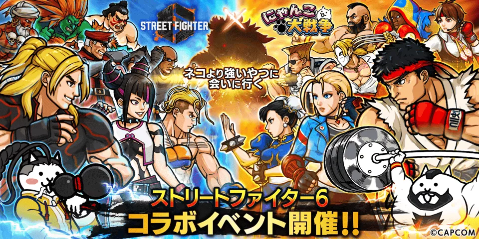 ストファイコラボ