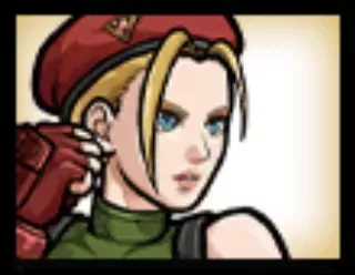 キャミィCCの画像