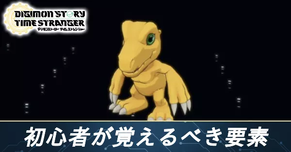 初心者記事 バナー