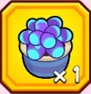 マジカル多肉植物