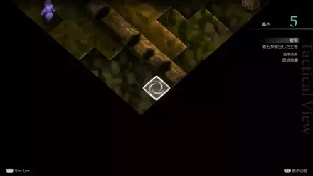 TIGERの埋もれたアイテム size:440x0