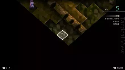 TIGERの埋もれたアイテム size:440x0