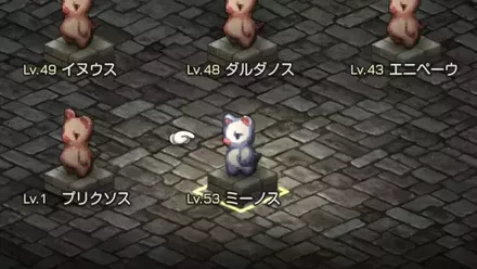 ワイルドボー