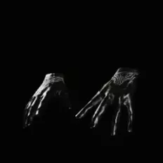 オメガアームα