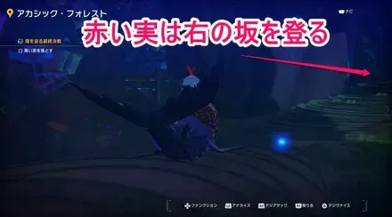 赤い実を落とす