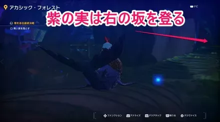 紫の実を落とす