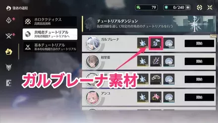 ガルブレーナ素材