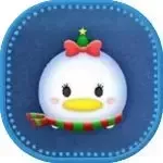 クリスマスデイジーの画像