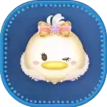 スターデイジー画像