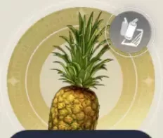 大きいパイナップルの画像