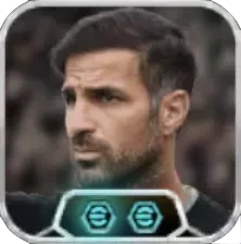 セスクファブレガス(リンクアップ)の画像