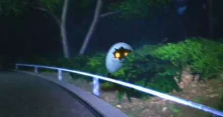 ヒョッコリ＿パーシャル