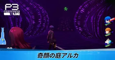 奇顔の庭アルカ