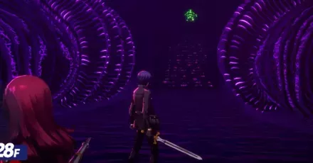 奇顔の庭アルカ②