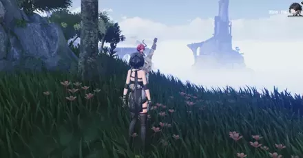 シャコンヌ見た目