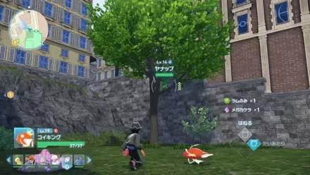 ヤナップ見た目