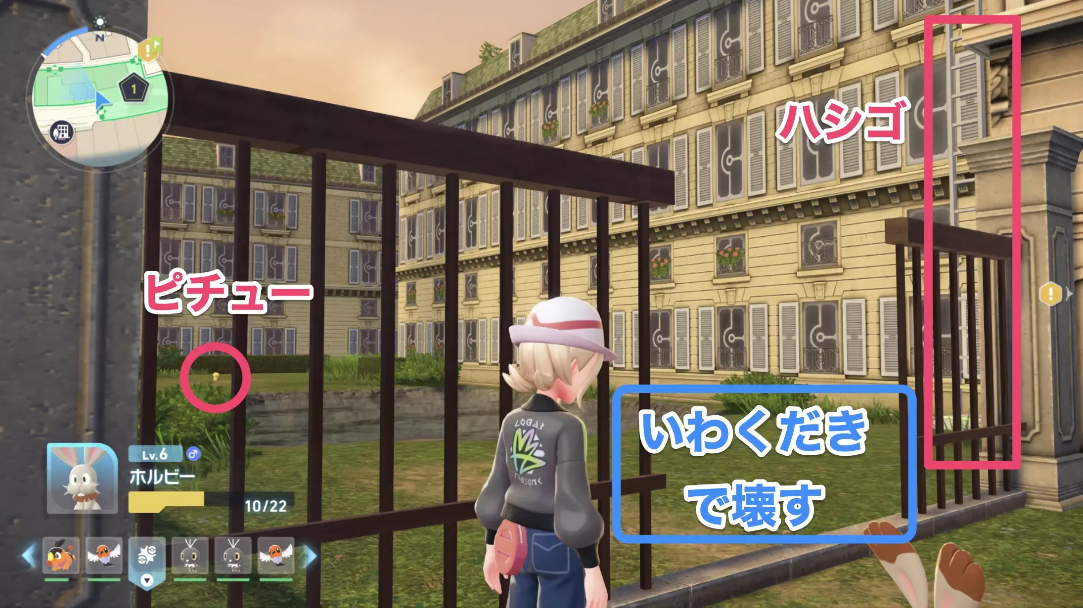 ワイルドゾーン