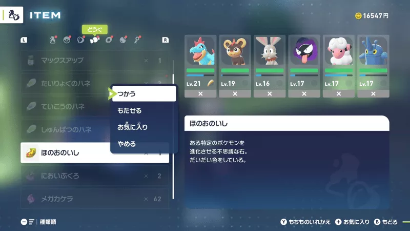 ポーチから使う