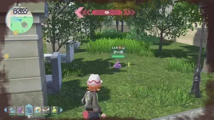 アーボの見た目