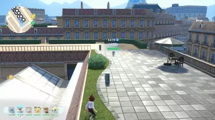 リオルの実際の見た目