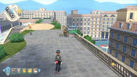 シュシュプ見た目